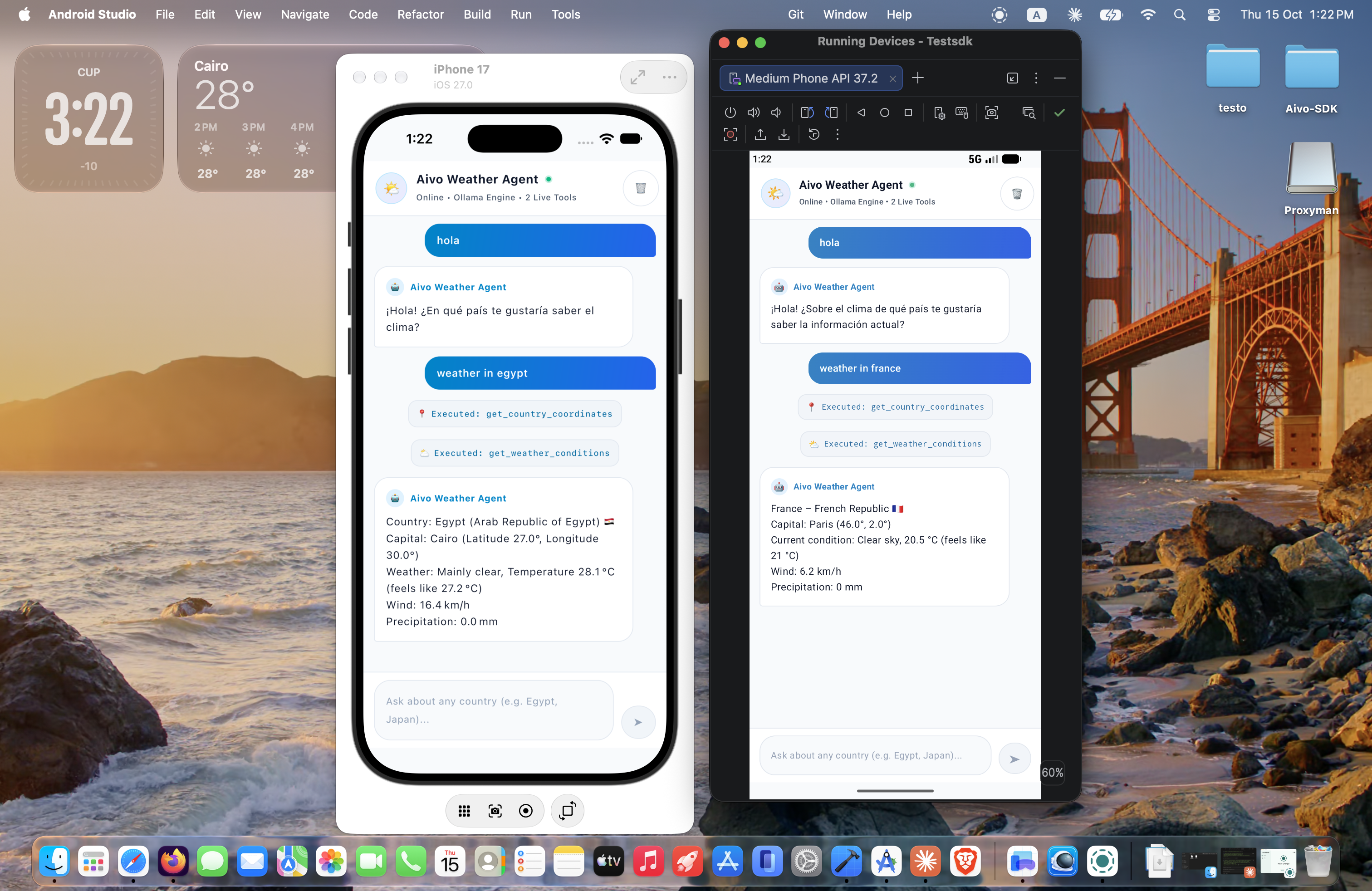 Aivo SDK KMP Demo Application Screenshot